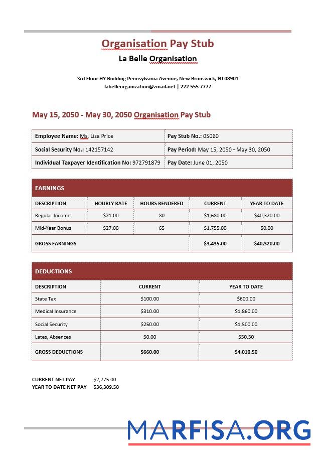 Realistic La Belle Organisation Paystub sample